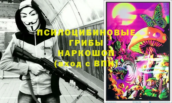 ALPHA PVP Алексин