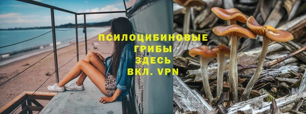 мескалин Алзамай