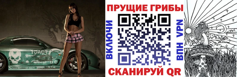 Галлюциногенные грибы Psilocybine cubensis Чкаловск